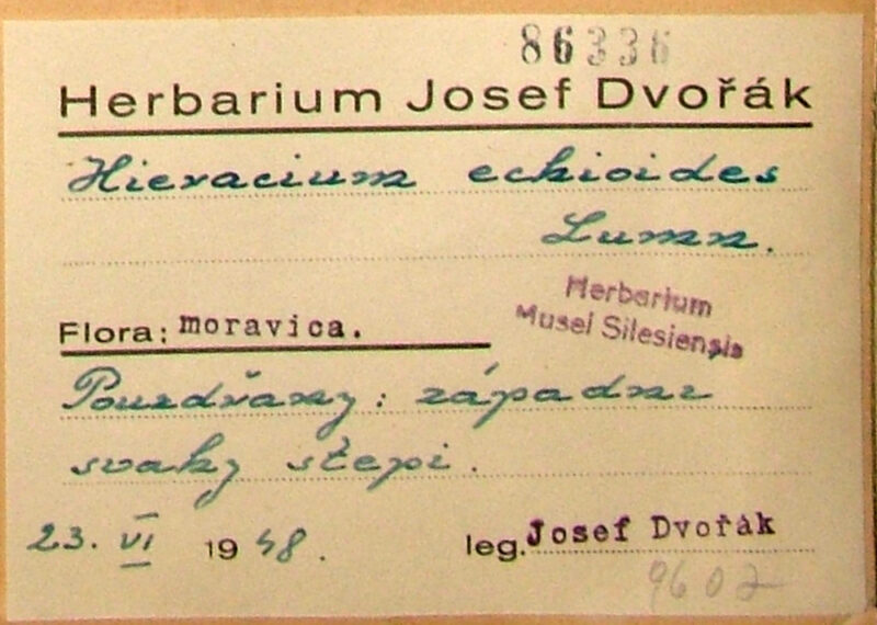 Dvořák Josef
