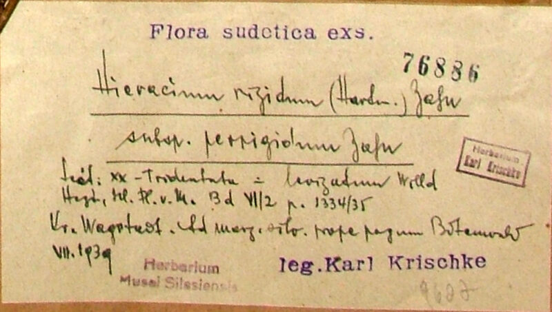 Krischke Karl