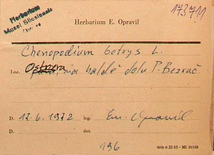 Opravil Emanuel